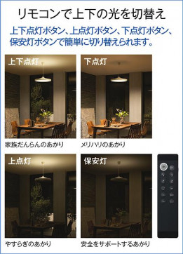 | DAIKO ŵ Ĵڥ DPN-41119 | ̿䡦ƥꥢΡڥ饤ȥ