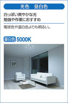  | DAIKO ŵ ݥåȥ饤 DSL-4704WW | ̿䡦ƥꥢΡڥ饤ȥ