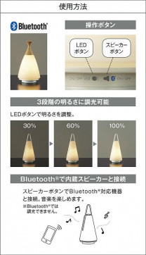 | DAIKO ŵ  DST-40796R | ̿䡦ƥꥢΡڥ饤ȥ