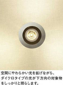 ͼ̿ | DAIKO ŵ ڥ LZP-91197YW | ̿䡦ƥꥢΡڥ饤ȥ