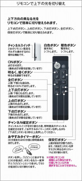 |DAIKO ŵ Ĵǥꥢ DCH-41313