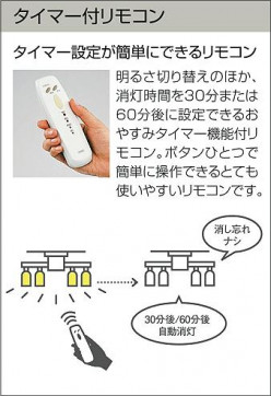 |DAIKO ŵ ǥꥢ DSL-41036Y