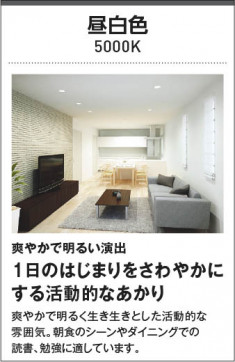 |KOIZUMI ߾ å饤 AD45395L