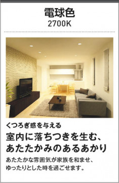 |KOIZUMI ߾ ֥饱å AB49266L