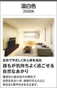 |KOIZUMI ߾ ⵤ̩SB饤 AD51798