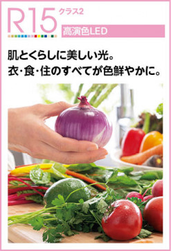 R15鿧LED | ODELIC ǥå ǥꥢ OC257146LR | LEDη¡ʰ Ҹ