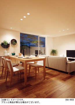 Panasonic 饤 LGD1100LQ1 ̿4