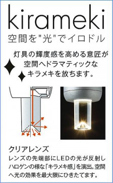 DAIKO ŵ ֥饱å DBK-41060Y ̿2