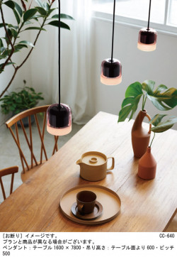 Panasonic ڥȥ饤 XLGB1854CE1 ̿1