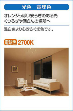  | DAIKO ŵ ݥåȥ饤 DSL-5449YBE