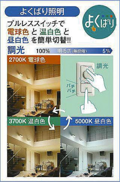  | DAIKO ŵ إݥåȥ饤 DSL-5586FWG