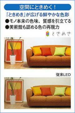  | DAIKO ŵ ֥饱å DBK-40425A