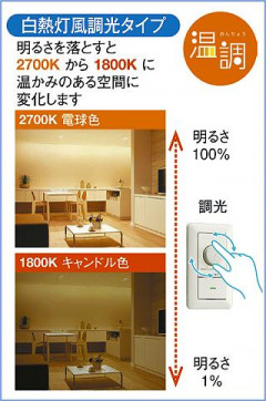 |DAIKO ŵ LED饤 DDL-5649FBG