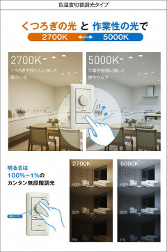 |DAIKO ŵ LEDإ饤 DDL-6206FWG