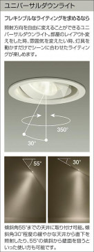 |DAIKO ŵ LED˥С饤 DDL-6242YBG