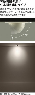 |DAIKO ŵ LED˥С饤 DDL-6250YWG