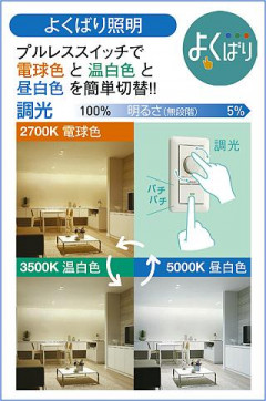 |DAIKO ŵ LEDإ饤 DDL-6268FWG