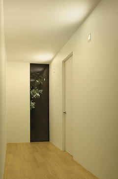 ܹ|DAIKO ŵ LED֥饱å DBK-39557YG