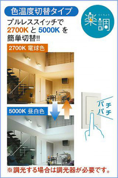 |DAIKO ŵ LEDإݥåȥ饤 DSL-4717FWG