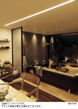 Panasonic ۲ SLB50643LB1 ̿5
