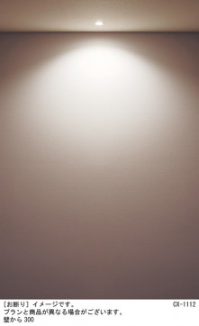 Panasonic ƥꥢ饤 SLR1011NLE1 ̿4
