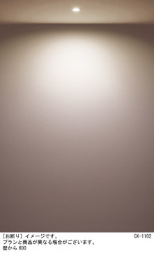 Panasonic ƥꥢ饤 SLR1311LLE1 ̿2