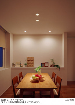 Panasonic 饤 XAD1100LKCE1 ̿2