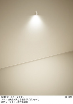 Panasonic ݥåȥ饤 XAS5000VCC1 ̿1
