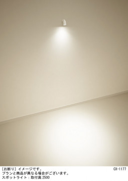 Panasonic ݥåȥ饤 XAS5020VCC1 ̿1