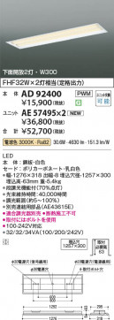 β Koizumi ߾ LED˥å AE57495