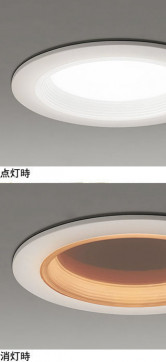 ODELIC ǥå 饤 OD361672BR ̿5