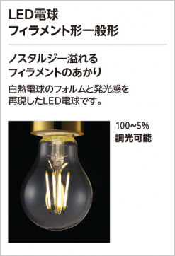 ODELIC ǥå ƥꥢ饤 OG041687LC1 ̿1