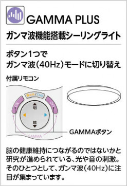 ODELIC ǥå 󥰥饤 OL251818GR ̿5