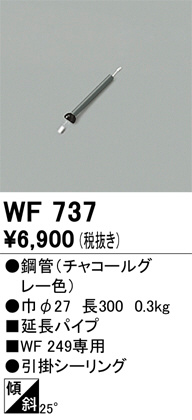 ñʲ | ODELIC ǥå 󥰥ե WF737 | LEDη¡ʰ Ҹ