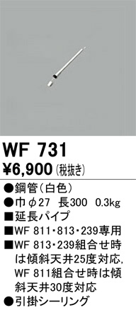ñʲ | ODELIC ǥå 󥰥ե WF731 | LEDη¡ʰ Ҹ