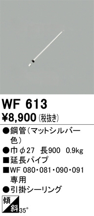 ñʲ | ODELIC ǥå 󥰥ե WF613 | LEDη¡ʰ Ҹ