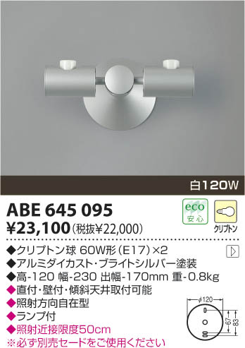 KOIZUMIABE645095ѥ2 ᥤ̿