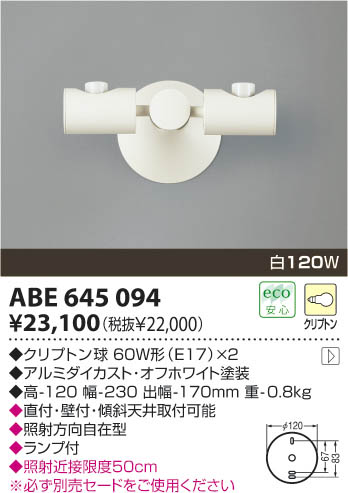 KOIZUMIABE645094ѥ2 ᥤ̿