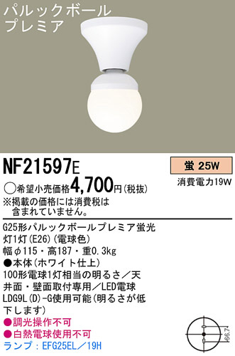 Panasonic 󥰥饤 NF21597E ᥤ̿