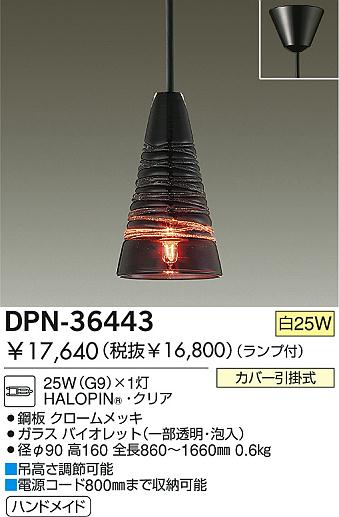 DAIKO  ŵ Ǯڥ DPN-36443 ڥ