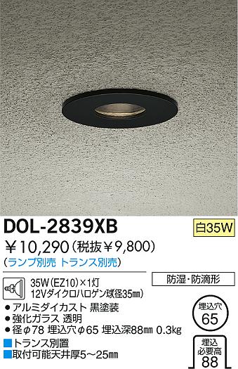 DAIKO  ŵ Ǯ饤 ȥɥ饤 DOL-2839XB
