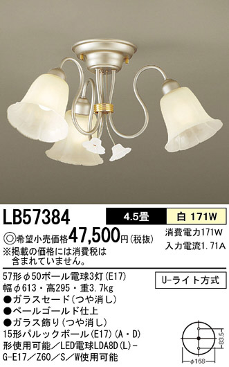 Panasonic ǥꥢ LB57384 ᥤ̿