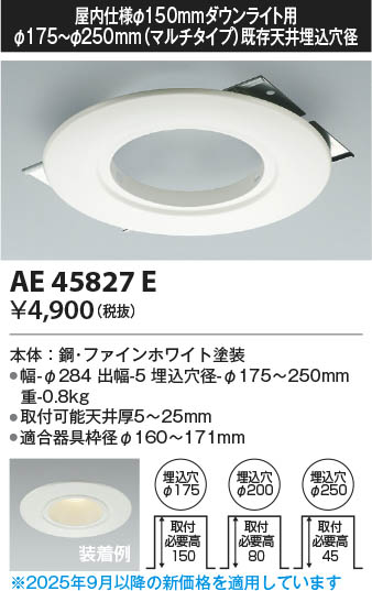 β Koizumi ߾ ˥塼ץ졼 AE45827E