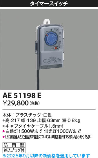 β Koizumi ߾ ޡå AE51198E