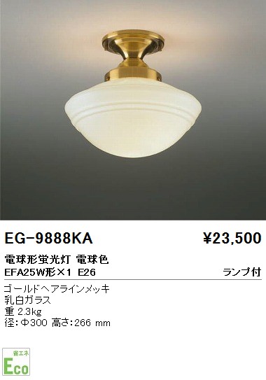 ƣ ENDO  EG-9888KA
