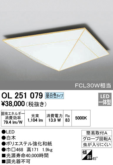 ODELIC ǥå 󥰥饤 OL251079 ᥤ̿