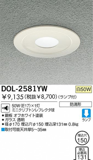 DAIKO ȥɥ饤ȡ 饤ȡDOL-2581YW