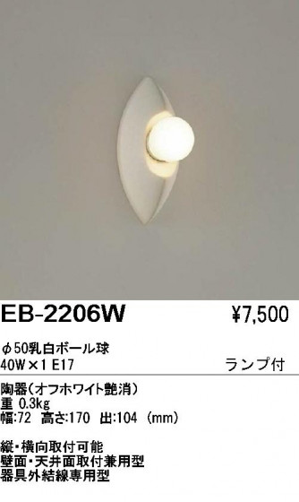 ƣ ENDO ֥饱å EB-2206W
