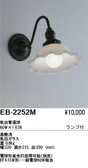 ƣ ENDO ֥饱å EB-2252M