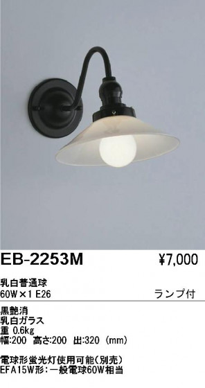 ƣ ENDO ֥饱å EB-2253M